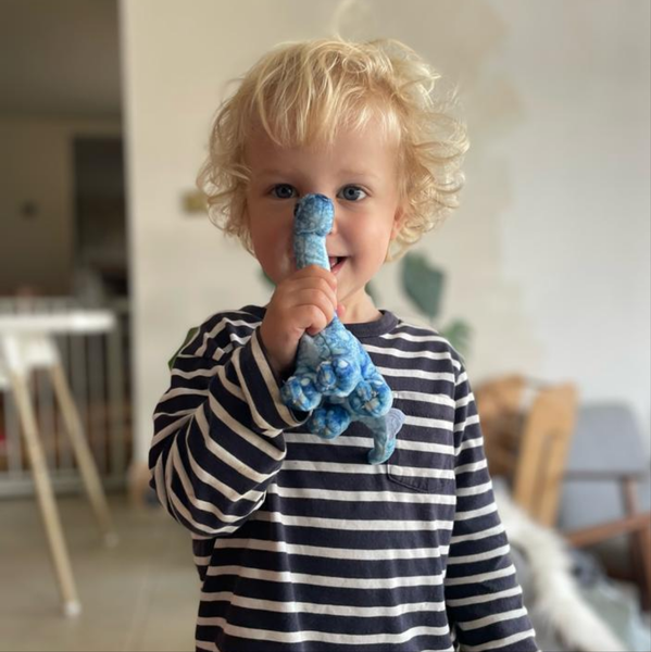 Dinosaur House - Hide-Aways