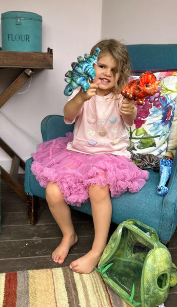 Dinosaur House - Hide-Aways